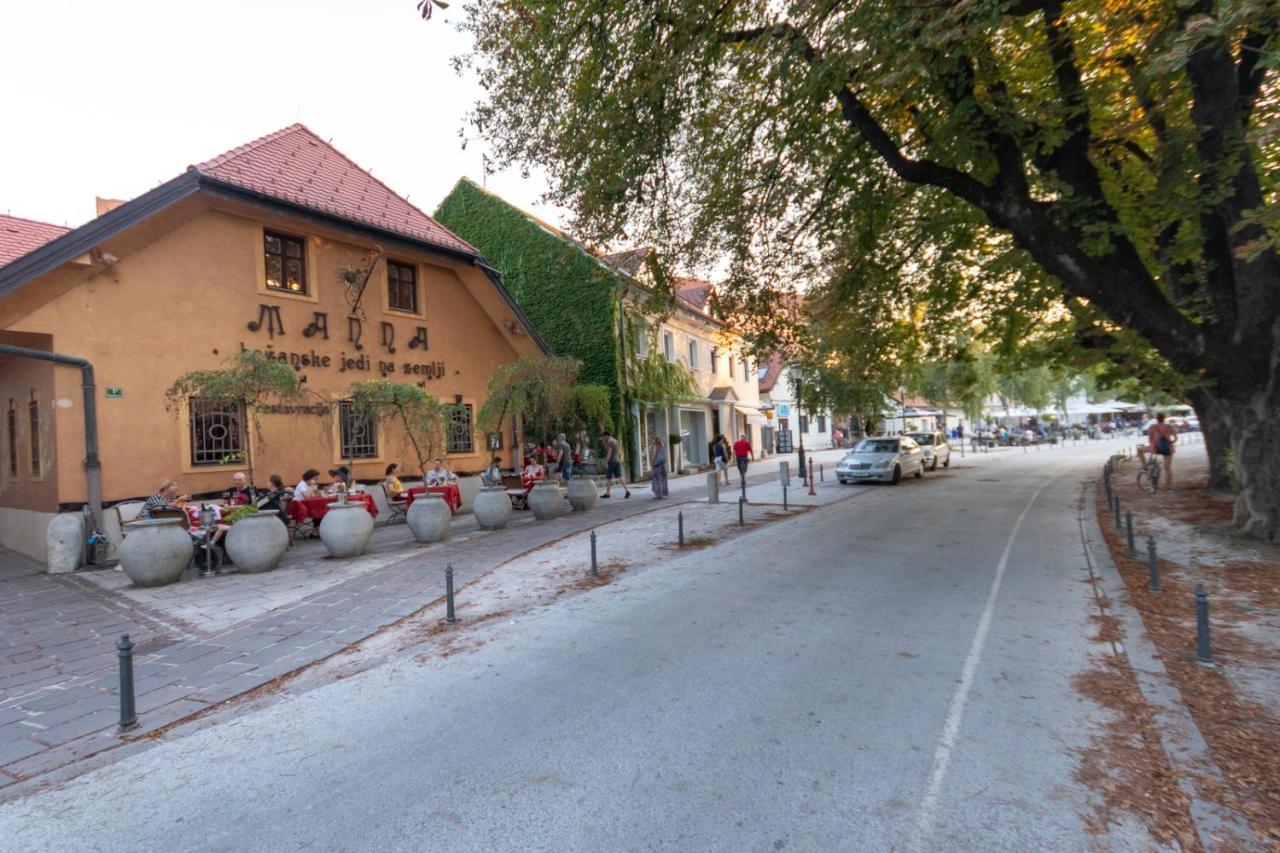 Fine Ljubljana Apartments Bagian luar foto