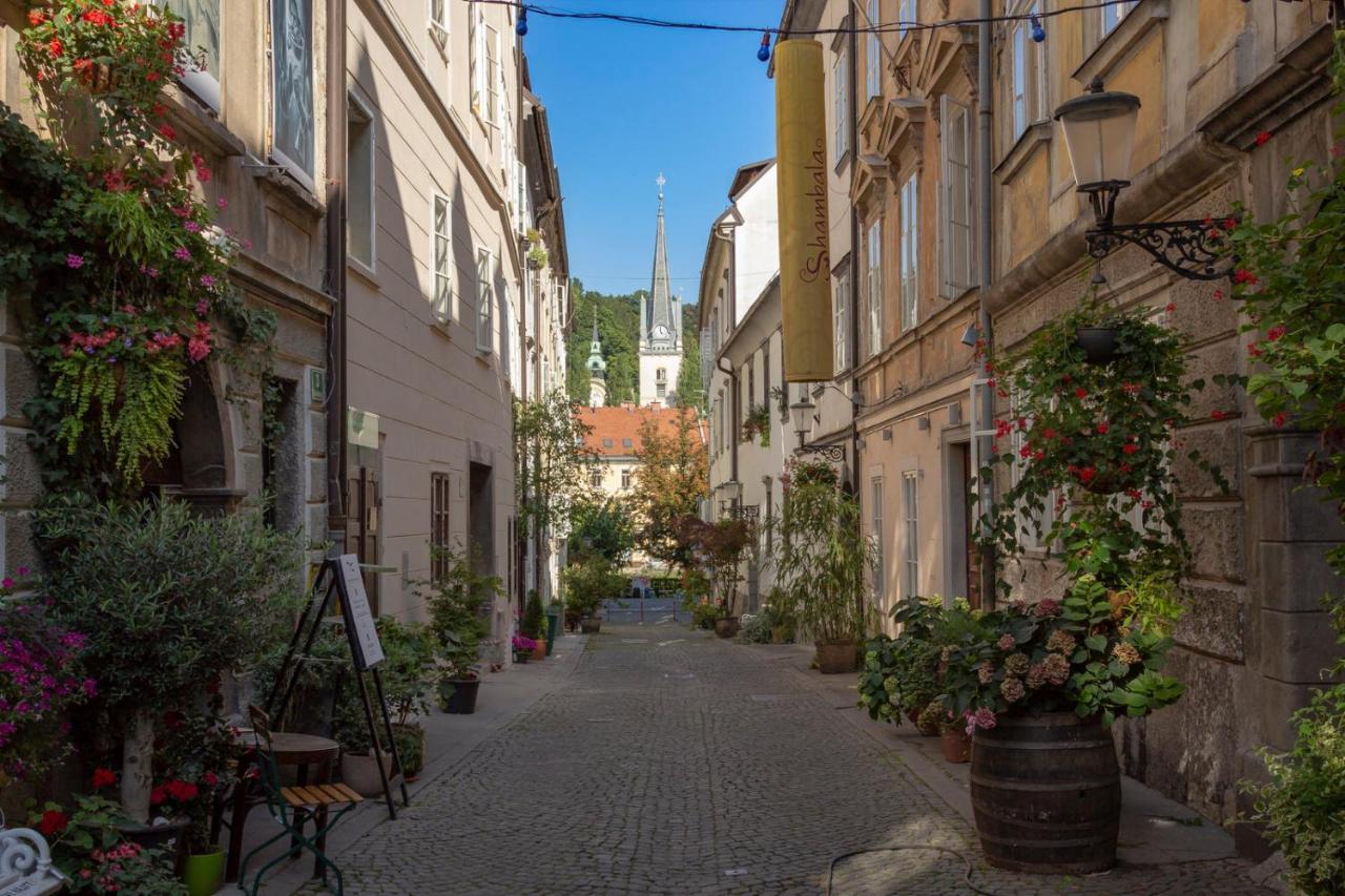Fine Ljubljana Apartments Bagian luar foto